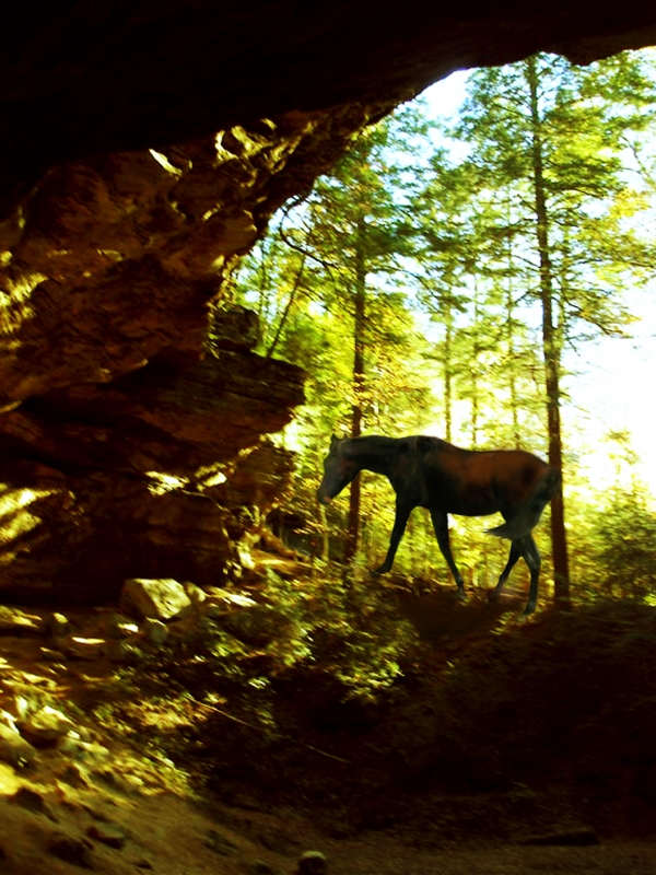 Creation of Ceremonial Cave: Step 2